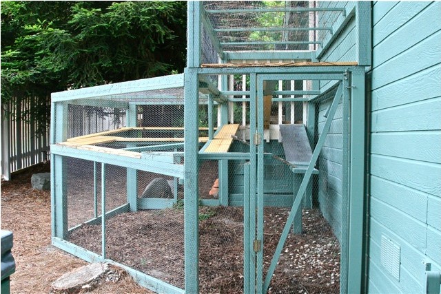 Catio cat enclosure