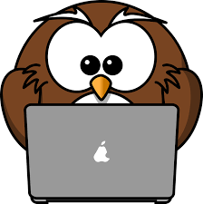owl on computer