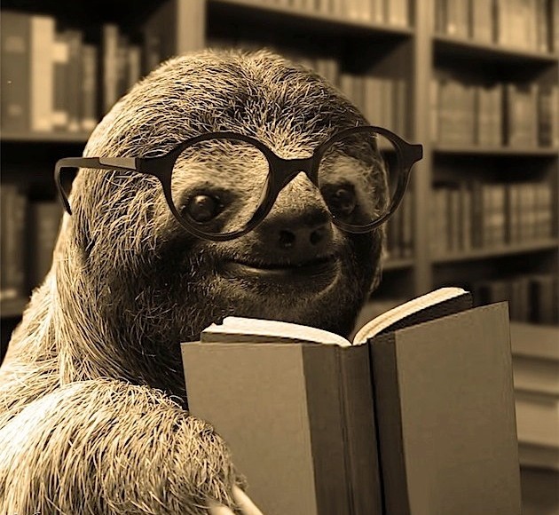 smart-sloth
